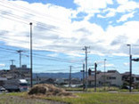 岡宮